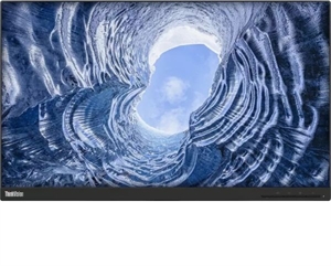 Lenovo ThinkVision T24i-20 23.8" Skærm 1920 x 1080 Full HD - Uden Fod - Grade B