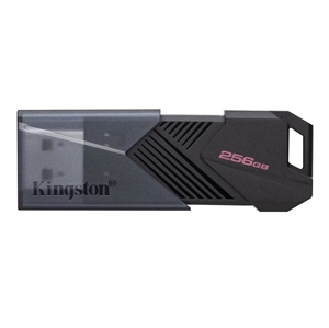 Kingston DataTraveler Exodia M 256GB USB 3.2 Gen 1 Sort